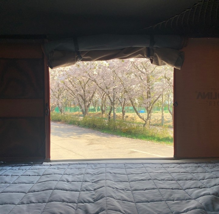 [ 카올라 ]  올라   루프탑   카니발  (4 인승 )