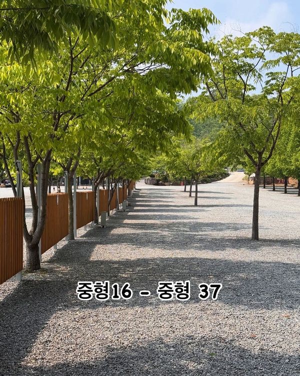진천 힐사이드 캠핑장