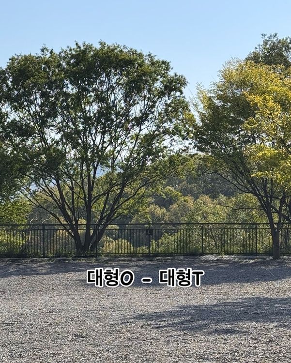 진천 힐사이드 캠핑장