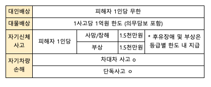 [의정부시 용현동] 에이스캠퍼 레이 캠핑카 로디